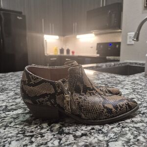 Steve Madden | Snakeskin Ankle Boots with Zipper | Size 8